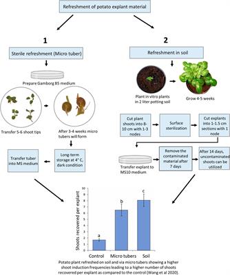 Invited Mini-Review Research Topic: Utilization of Protoplasts to Facilitate Gene Editing in Plants: Schemes for In Vitro Shoot Regeneration From Tissues and Protoplasts of Potato and Rapeseed: Implications of Bioengineering Such as Gene Editing of Broad-Leaved Plants